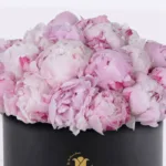peonies_in_a_box_1__1_.jpg