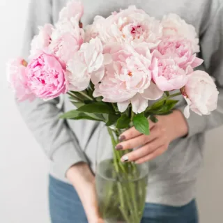 A person holding a large bouquet of pink peonies in a glass vase.