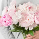 Peonies with Vase 2 peonies_wiith_vase_2_.jpg