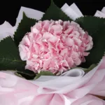 pink_hydrangeas_1.jpg