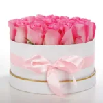 pink_lush-1.jpg