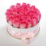 pink_lush_2_-1.jpg