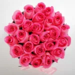 pink_lush_3_-1.jpg