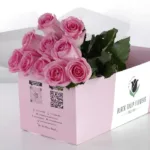 pinky_in_pink_box_2.jpg