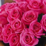 prefer_to_be_pink_bouquet_2_.jpg