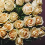 pretty_peach_bouquet_2_.jpg