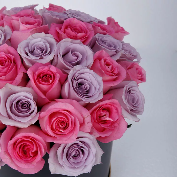 pretty pink and purple rose box 2 jpg