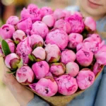 profuse_peonies.jpg