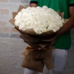 purity_of_love.jpg