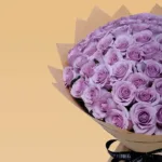 purple_rose_-_ocean_song_4.jpg