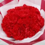 red_carnation_bouquet.png