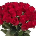 red_grandeur_roses-1.jpg