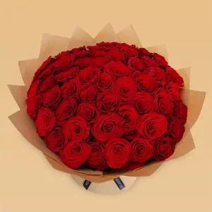 red rose upper class 2 jpg