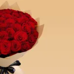red_rose_-_upper_class_3.jpg