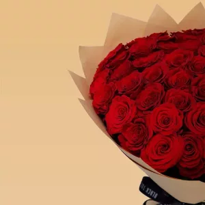 red rose upper class 4 jpg