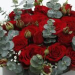 red_rose_in_a_velvet_basket.png