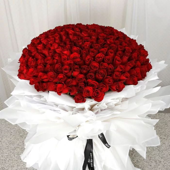 red_roses_200_stems_1_.jpg Top view of a 200 red roses bouquet, wrapped in white and neatly tied with a black ribbon.