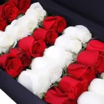 red_white_roses_in_black_box_2.jpg