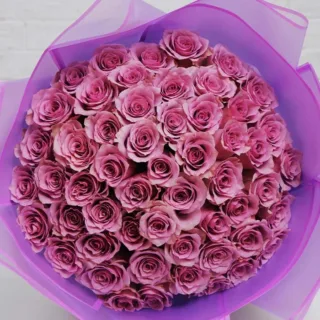 Shades of Purple