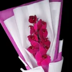single_stem_purple_phalaenopsis_-_cut_flowers_1-1.jpg