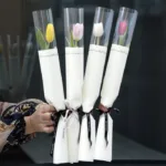 single_tulip_-_mix_color.jpg