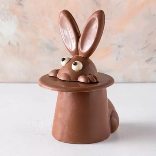 small magic bunny 5 jpg