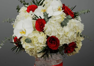 splendid mix white and red flowers 1 1