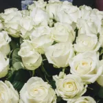 successful_beginning_bouquet_2_.jpg