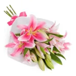 treasured_pink_lilies.jpg