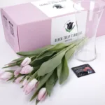 tulip_pink_03.jpg