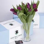 tulip_purple_03_1.jpg