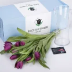 tulip_purple_04.jpg