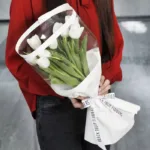 tulip_white_001.jpg