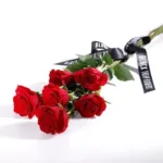 valentine_red_rose_6_stems.jpg