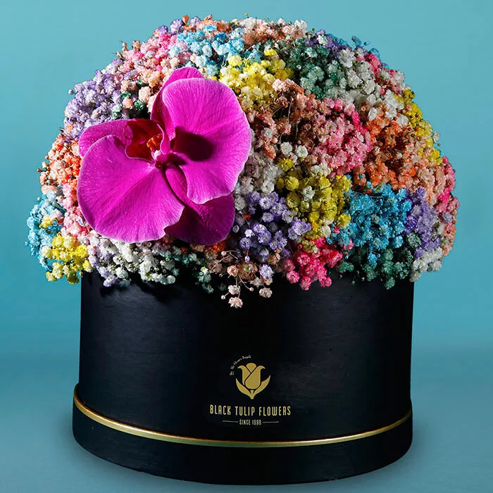 vibrant flower box jpg