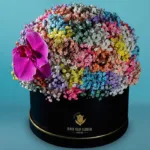 vibrant_flower_box_2_.jpg
