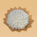 white_rose_-_polar_star_1.jpg