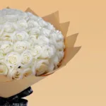 white_rose_-_polar_star_3.jpg