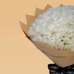 white_rose_-_polar_star_4.jpg