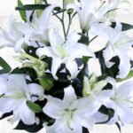 wonderful_lilies.png