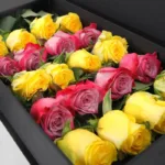yellow_deep_purple_roses_in_black_box_2.jpg