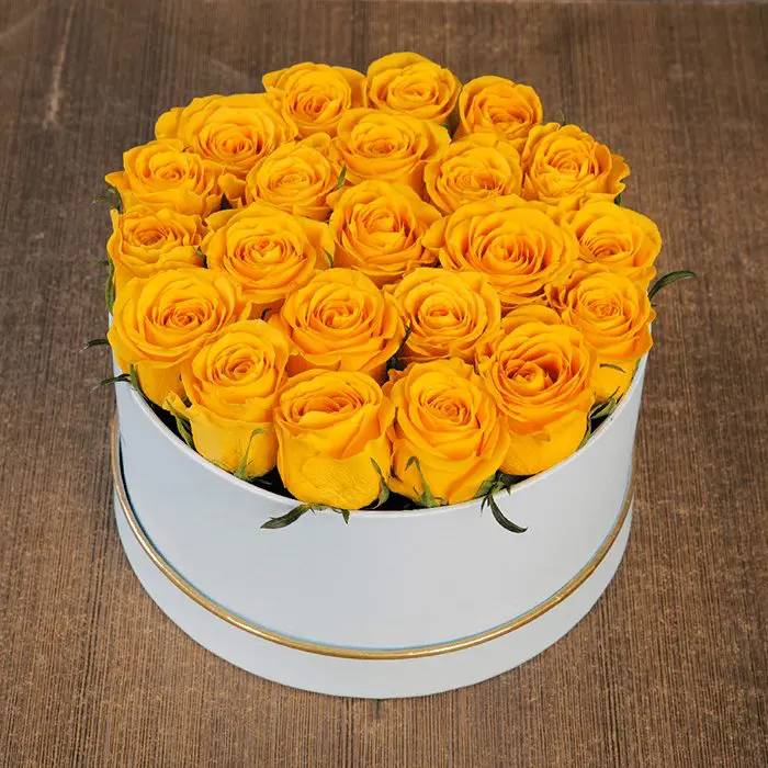 yellow rose in white box MAIN
