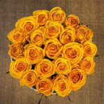 yellow_rose_in_white_box_2.png