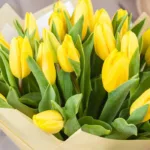yellow_tulip_bouquet_2_.jpg