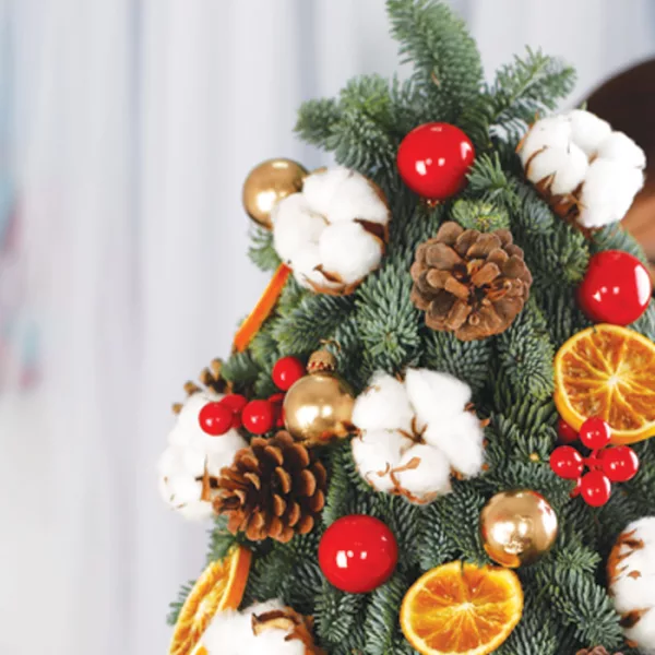 Mini Jolly Tree