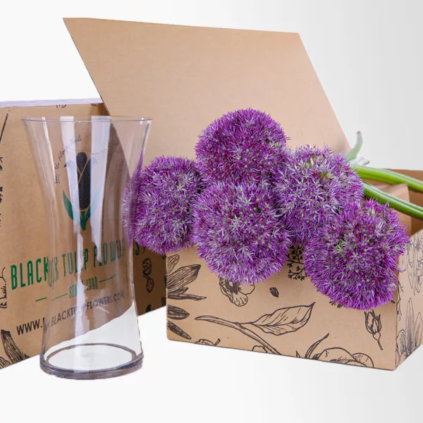 Allium Purple