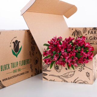 Alstroemeria Dark Pink