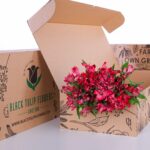 Alstroemeria Red (2)