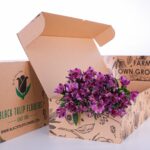 Alstroemeria Selection Purple (2)