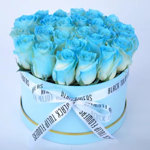 Enchanting Blue Roses